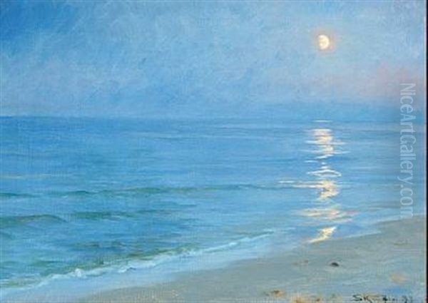 A Mooonlit Skagen Beach - view 1