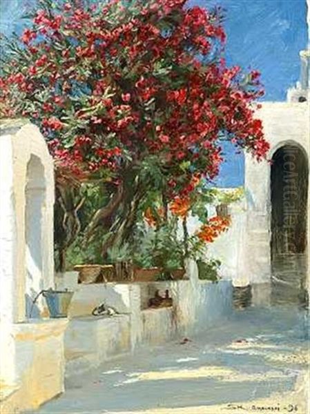 Blomstrende Nerier. Solskin. Anacapri - view 1