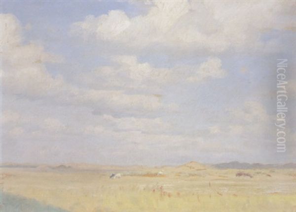 Skagens Sol. Sollyst Landskab Med Faar - view 1