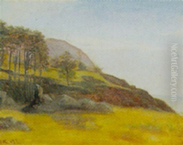 Landskab Ved Kyst - view 1