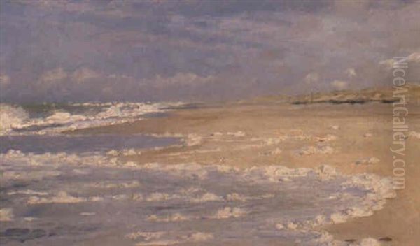 Bl+st. Skagens Nordstrand - view 1