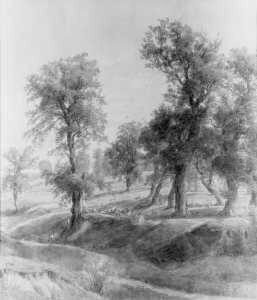 An Der Oberschweinstiege Bei Frankfurt/main. An Der Oberschweinstiege Bei Frankfurt/main.