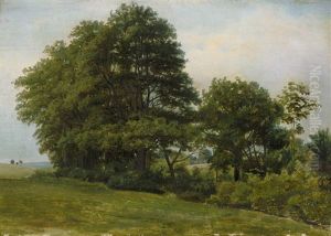 Baumgruppe In Einer Hugellandschaft by Carl (Johann Heinrich) Kruger