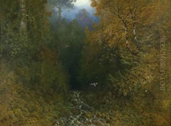 Waldlandschaft Mit Vogeln - view 1