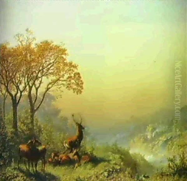 Rotwild In Der Morgendammerung - view 1