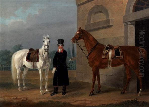 Two Saddled Mounts - view 1