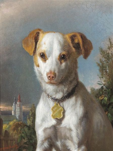 Ein Hund Aus Jagerndorf - view 1