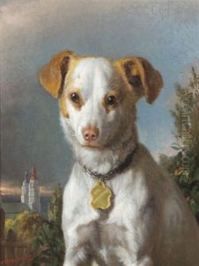 Ein Hund Aus Jagerndorf Ein Hund Aus Jagerndorf