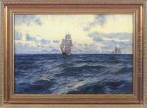 Marin Marin