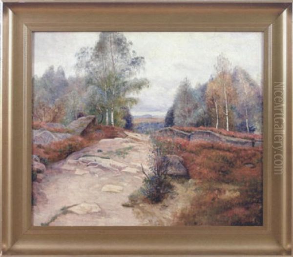 Landskap I Hostskrud - view 1