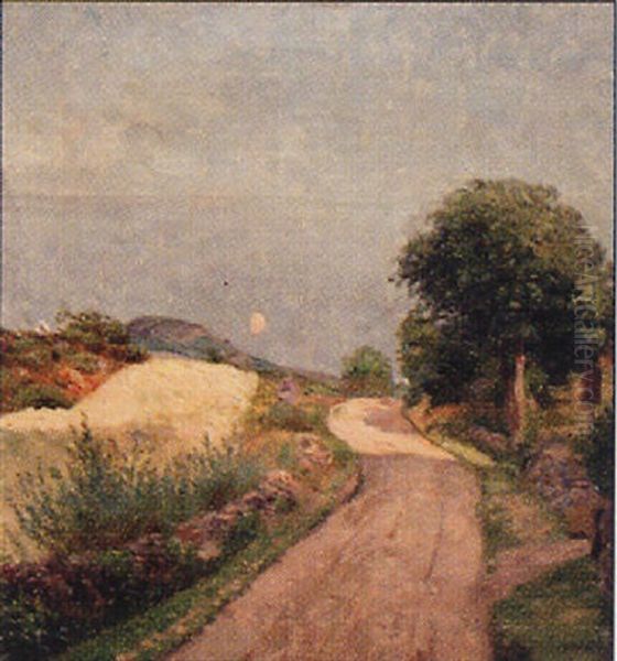 Sommarvall Vid Skalderviken, Arild - view 1