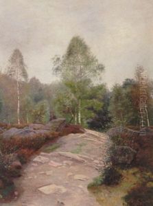 Skogsmotiv by Olof Krumlinde