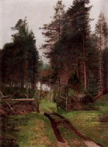Sommarlandskap Med Skogsvag Sommarlandskap Med Skogsvag
