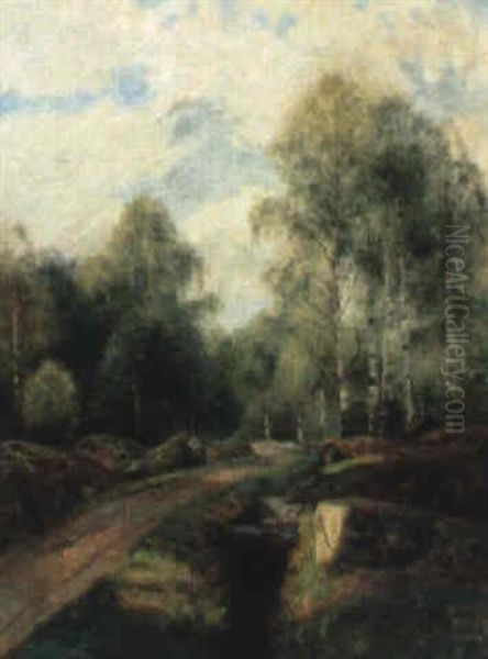 V,g Genom Bj"rkskog - view 1