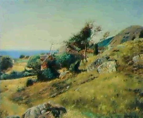 Vid Kullen - view 1