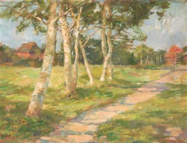 Birkenweg Im Sonnenschein - view 1
