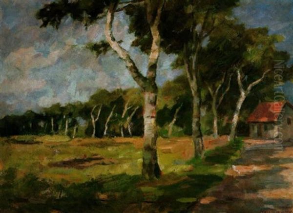 Birkenweg In Sommerwind - view 1