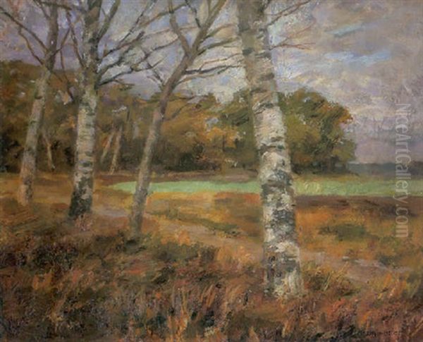 Heideweg - view 1