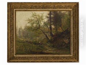 Forest Landscape Forest Landscape