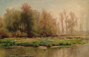 Moorlandschaft Moorlandschaft