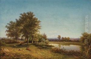 Cattle Resting In A Summer Landscape Cattle Resting In A Summer Landscape