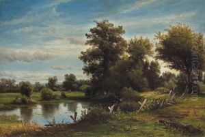 Summer Day By The Brook