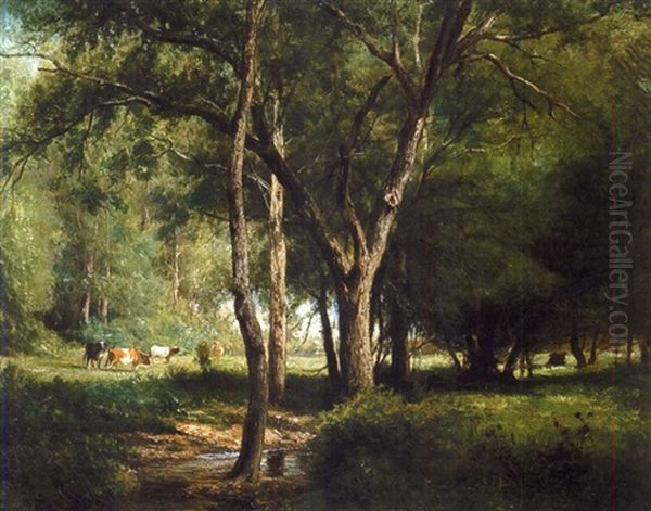 Sunlit Clearing - view 1