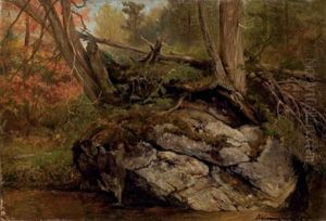 Etude D'un Sous-bois