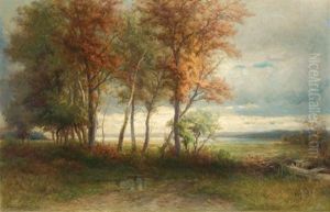 A Glimpse Of The Bay