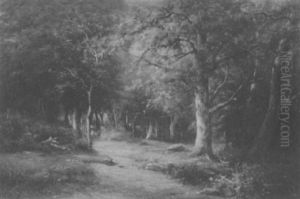 Forest Path Forest Path