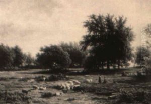 Op De Heide Op De Heide