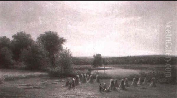 Getreideernte In Weitraumiger Seelandschaft - view 1