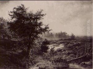 The Wodans-oak Near Wolfheze