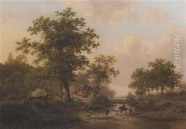 Cattle Passing A Ford In A Wooded Landscape In Summer - view 1