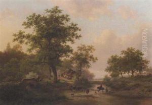 Cattle Passing A Ford In A Wooded Landscape In Summer