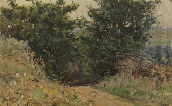 Rural Landscape - view 1
