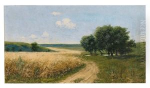 Blick Auf Weizenfeld Im Sommer