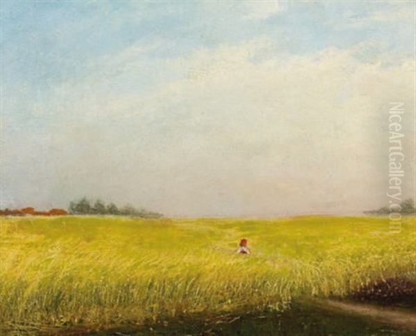 Die Ernte - view 1