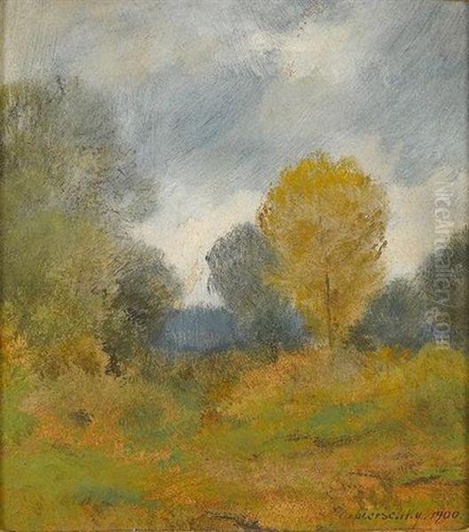 Waldige Landschaftspartie Im Herbst - view 1