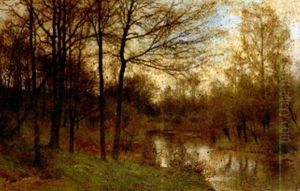 Waldteich An Einem Dungstigen Fruhlingsmorgen
