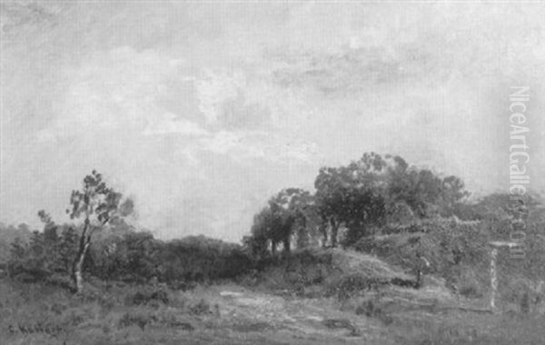 Landschaft Mit Baumen Und Wanderer Unter Bedecktem Himmel - view 1