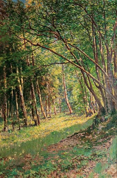 Wood In Spring - view 1