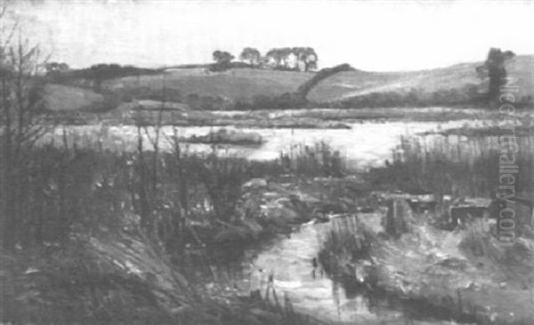 Holsteinische Seenlandschaft - view 1