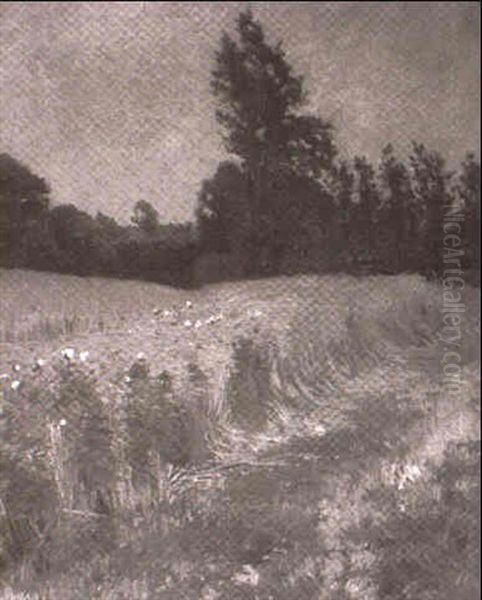 Norddeutsche Landschaft Mit Getreidefeld - view 1