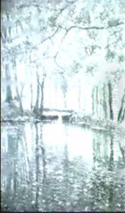 Waldlandschaft An Der Oberalster