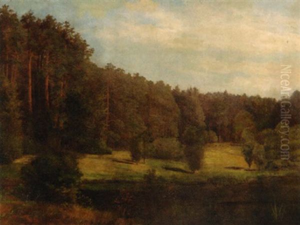 Waldlandschaft - view 1