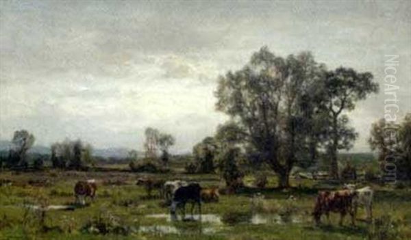 Grasende Kuhe In Weiter Landschaft - view 1