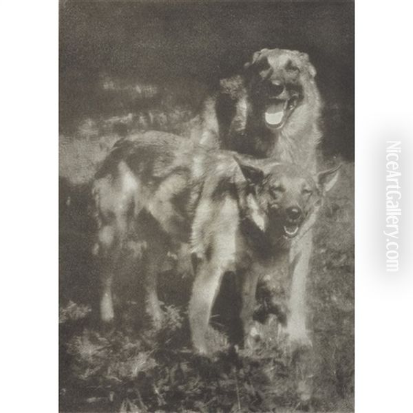 Poidl And Liddy In Sunlight (kuhn's Dogs) - view 1
