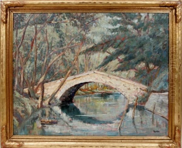 River And Forest Scene - view 1