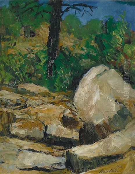 Spring Among Rocks, Prescott, Arizona - view 1